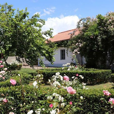 Monte Dos Papa Figos Hotell São Teotónio Eksteriør bilde